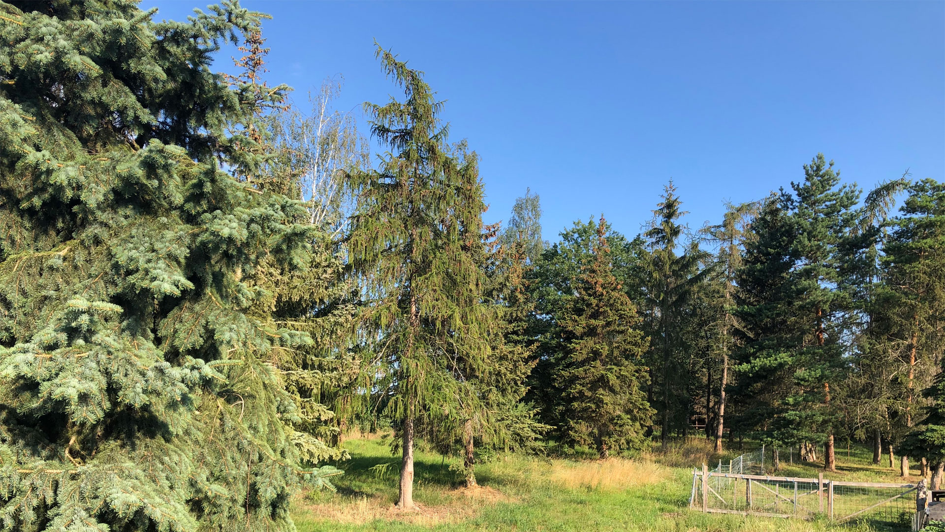 ferienwohnung-osterfeld.de - Header